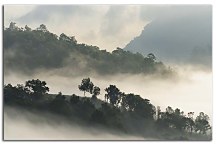 Obraz Hmla v horách 29427